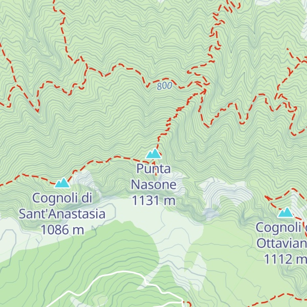 Map of Punta Nasone