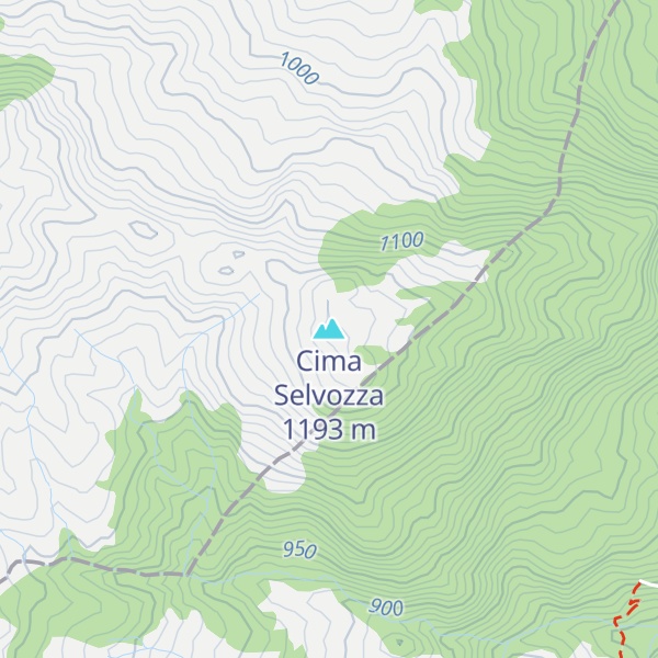 Map of Cima Selvozza