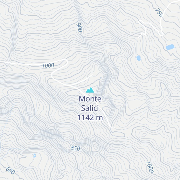 Map of Monte Salici