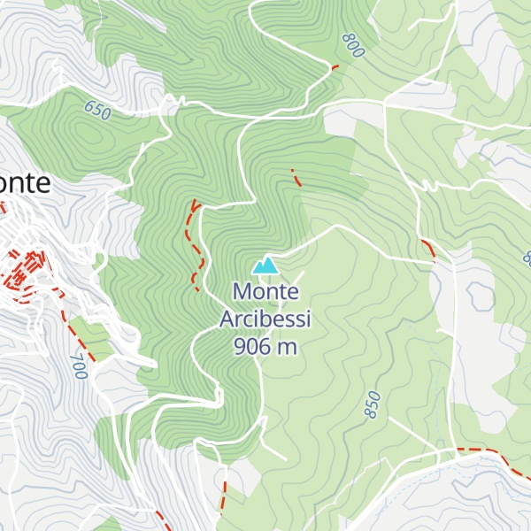 Map of Monte Arcibessi