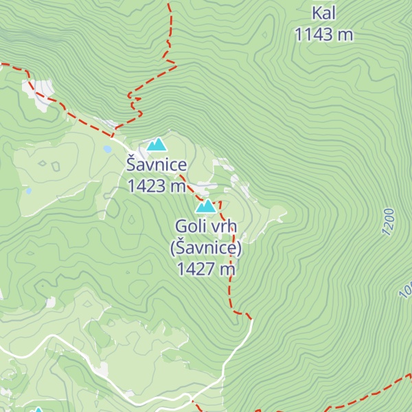 Map of Goli vrh (Šavnice)