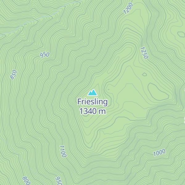 Map of Friesling