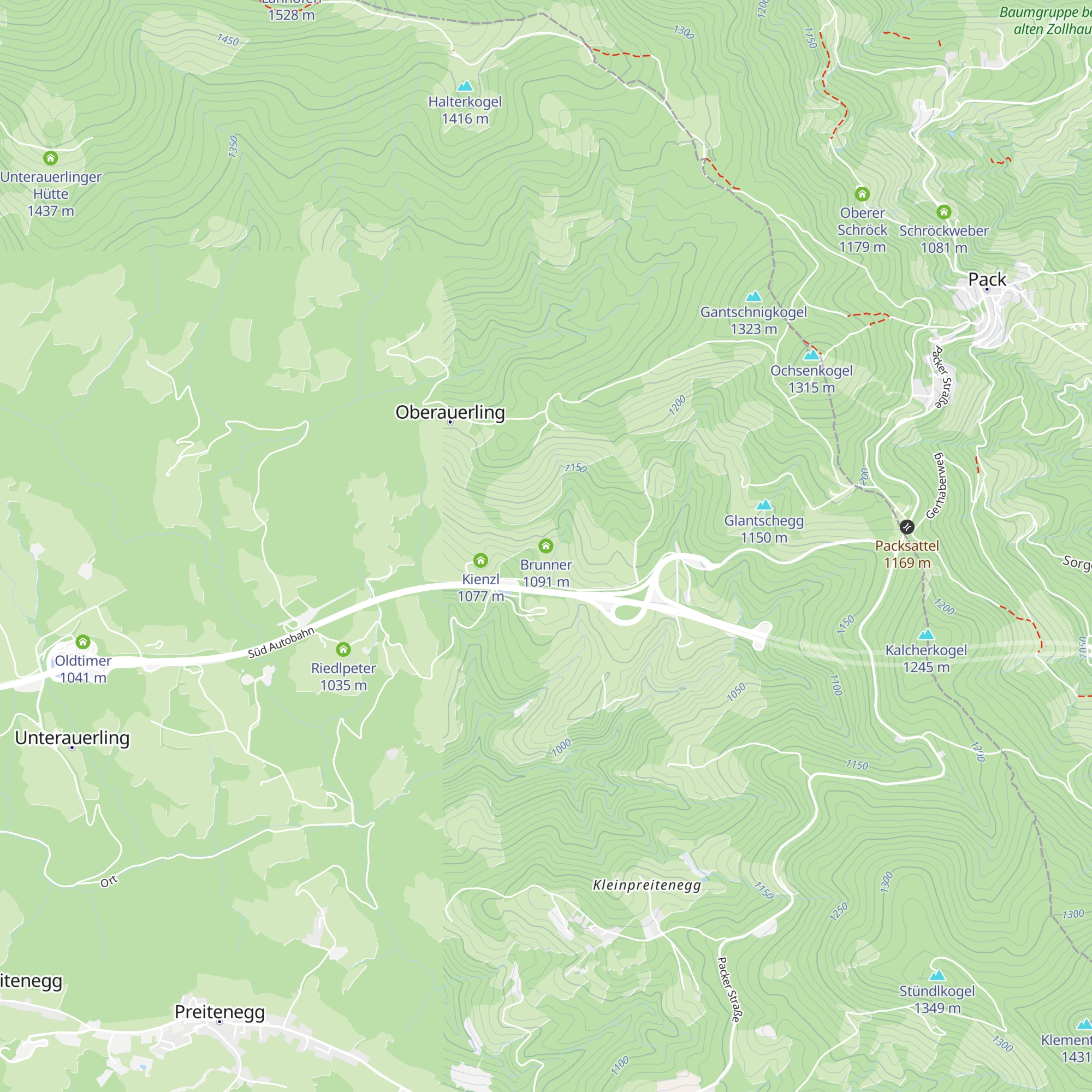 Brunner map