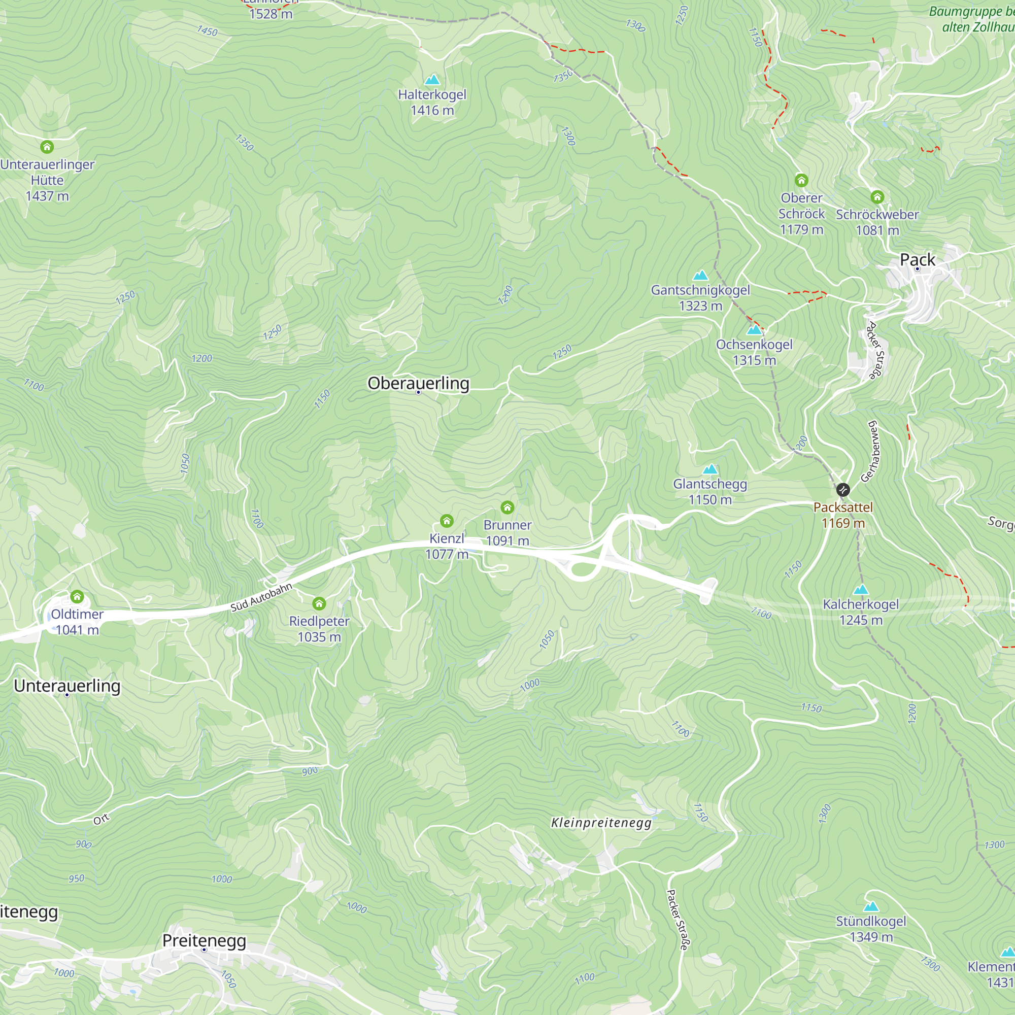 Brunner map