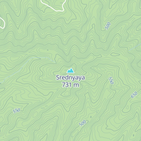 Map of Srednyaya