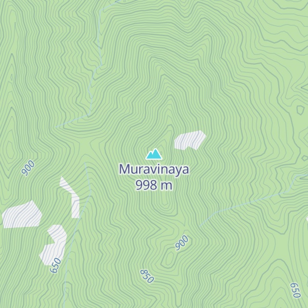 Map of Muravinaya