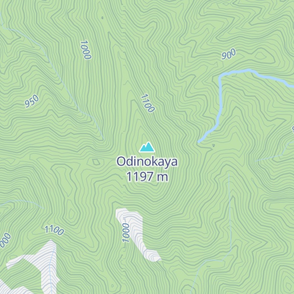 Map of Odinokaya