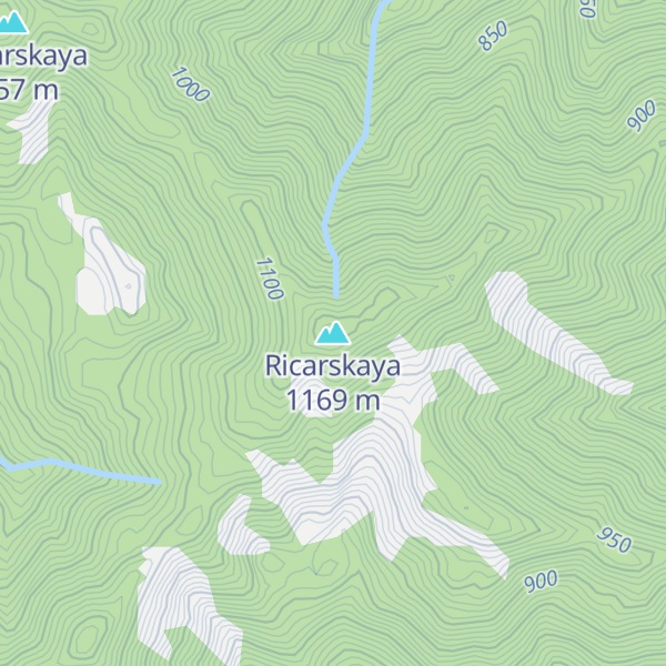 Map of Ricarskaya