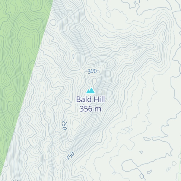 Map of Bald Hill