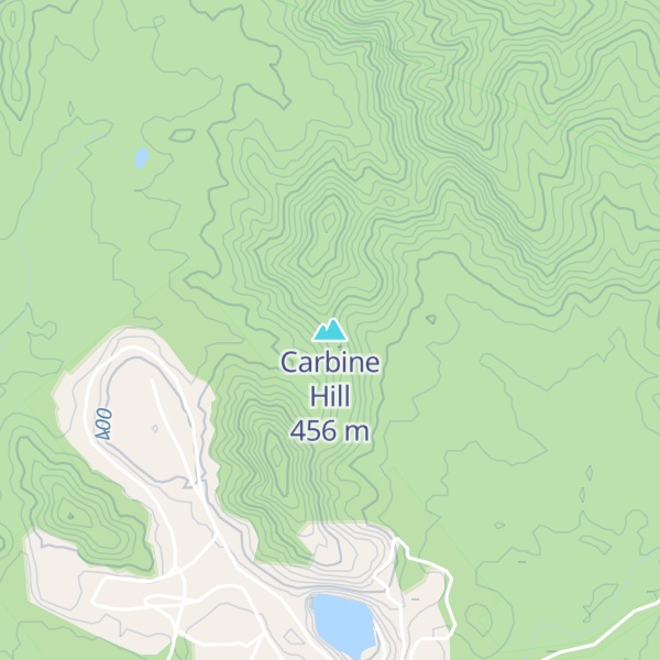 Map of Carbine Hill