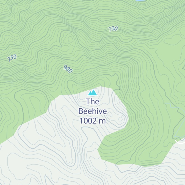 Map of The Beehive