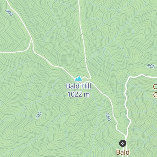 Map of Bald Hill