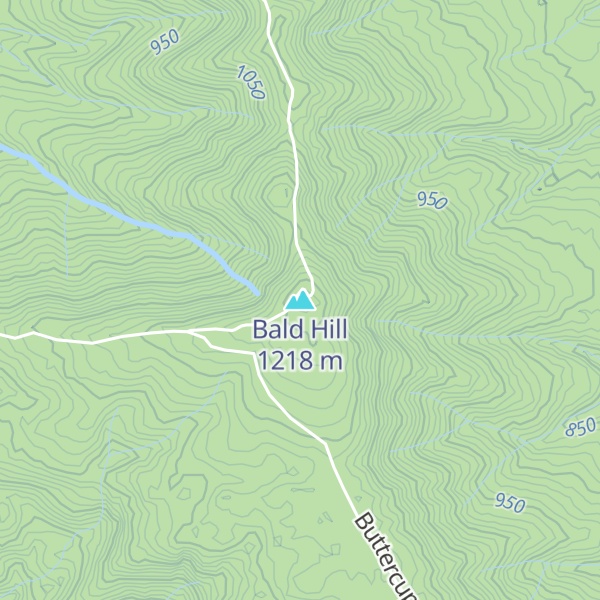 Map of Bald Hill