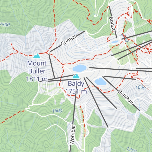 Map of Baldy