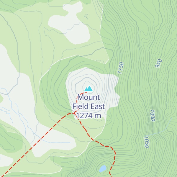 Map of Mount Field East