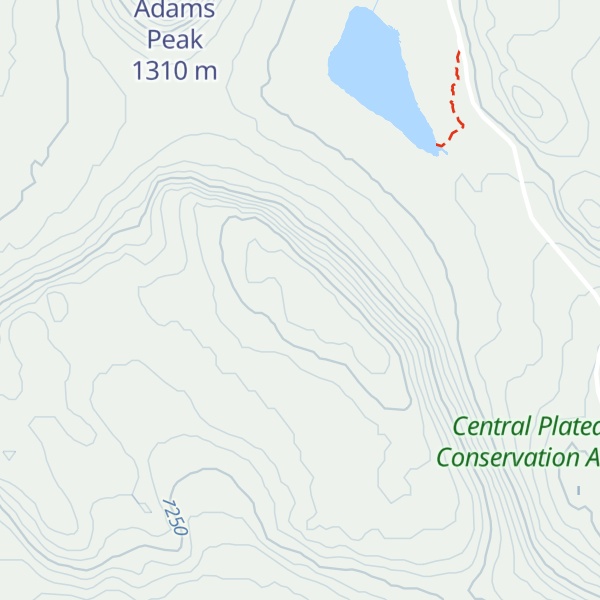 Map of Pine Lake Prospect
