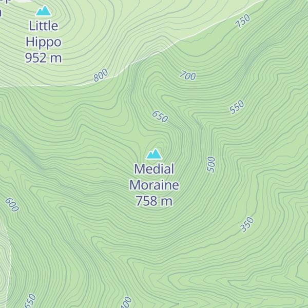Map of Medial Moraine