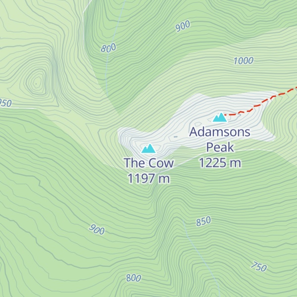 Map of The Cow