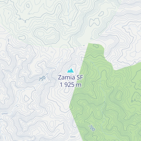 Map of Zamia SF 1