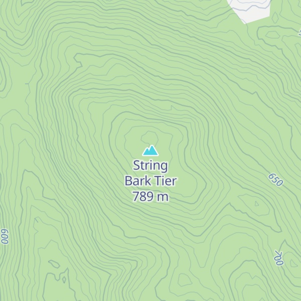 Map of String Bark Tier