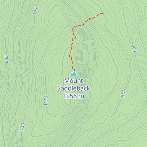Map of Mount Saddleback