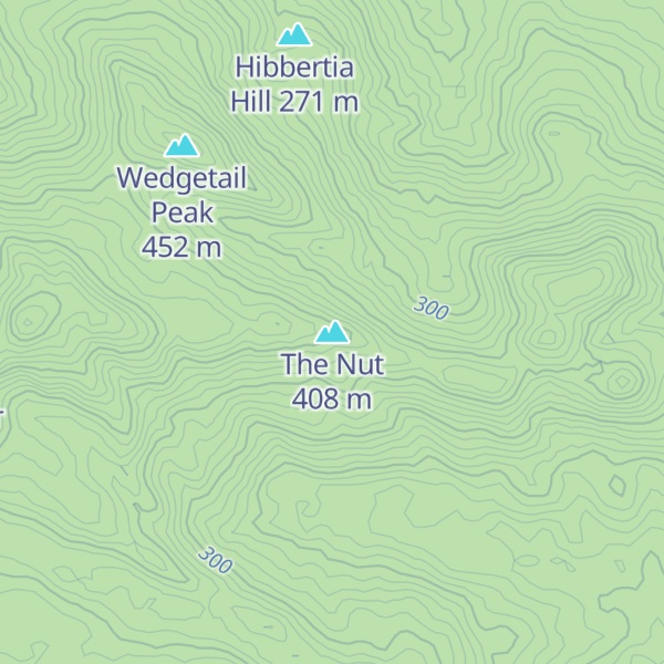 Map of The Nut