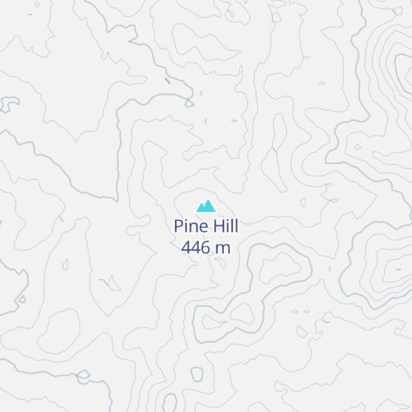 Map of Pine Hill