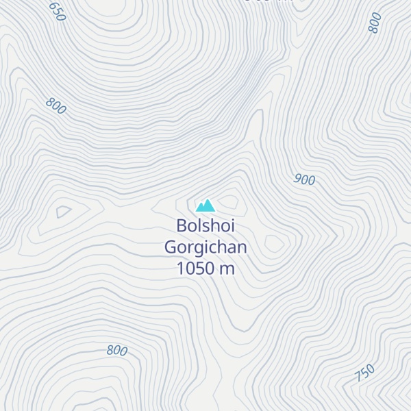Map of Bolshoi Gorgichan