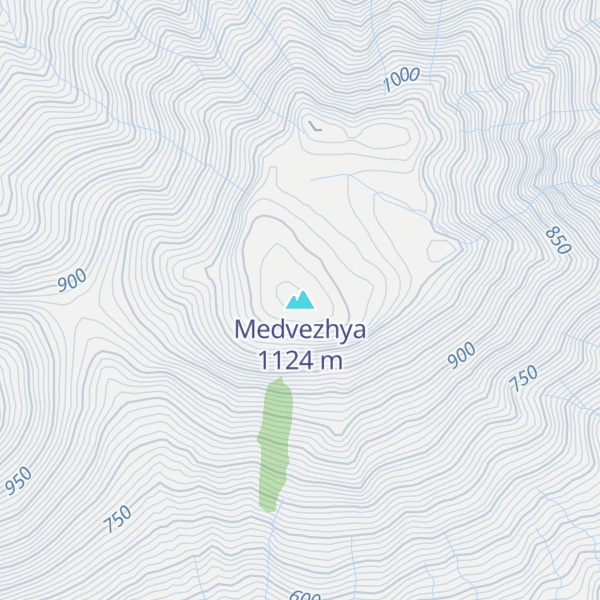 Map of Medvezhya