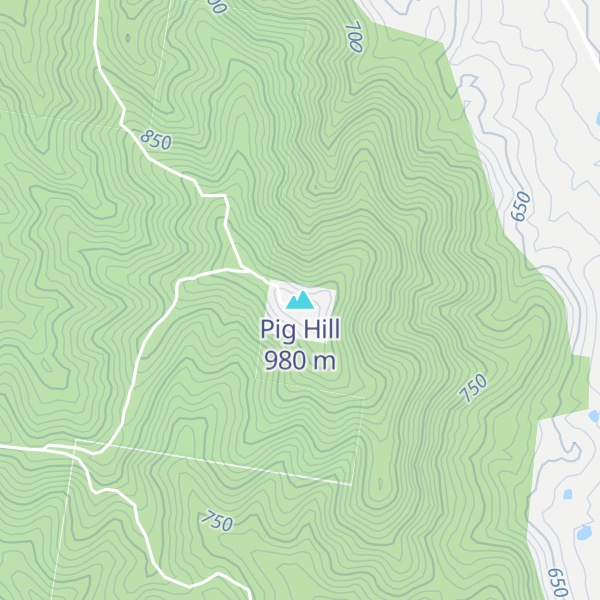 Map of Pig Hill