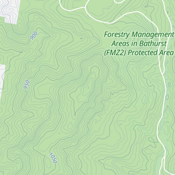 Map of Lees Mountain
