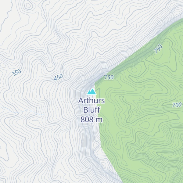 Map of Arthurs Bluff