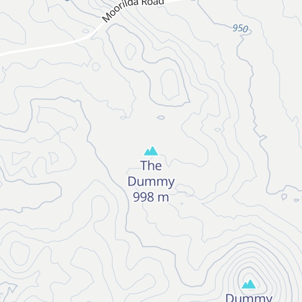 Map of The Dummy