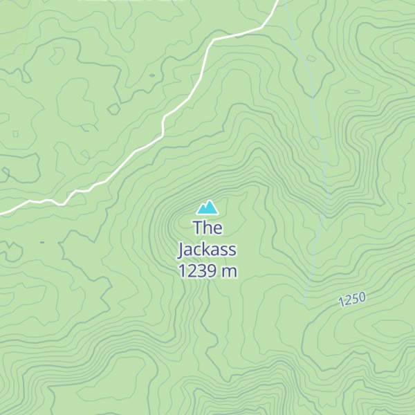 Map of The Jackass