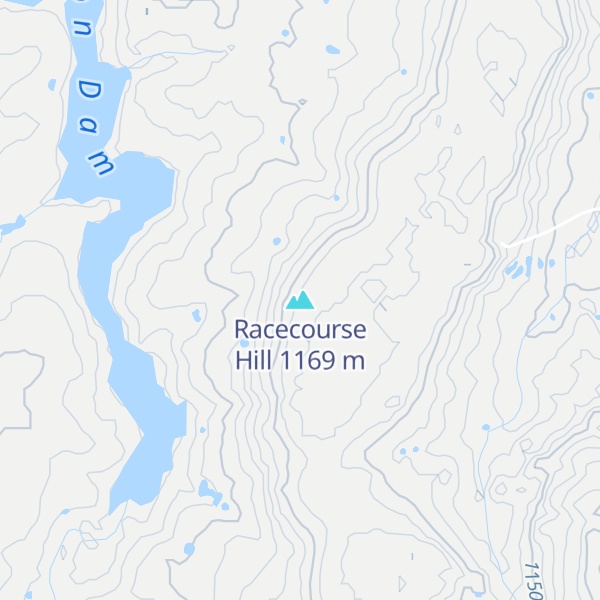Map of Racecourse Hill