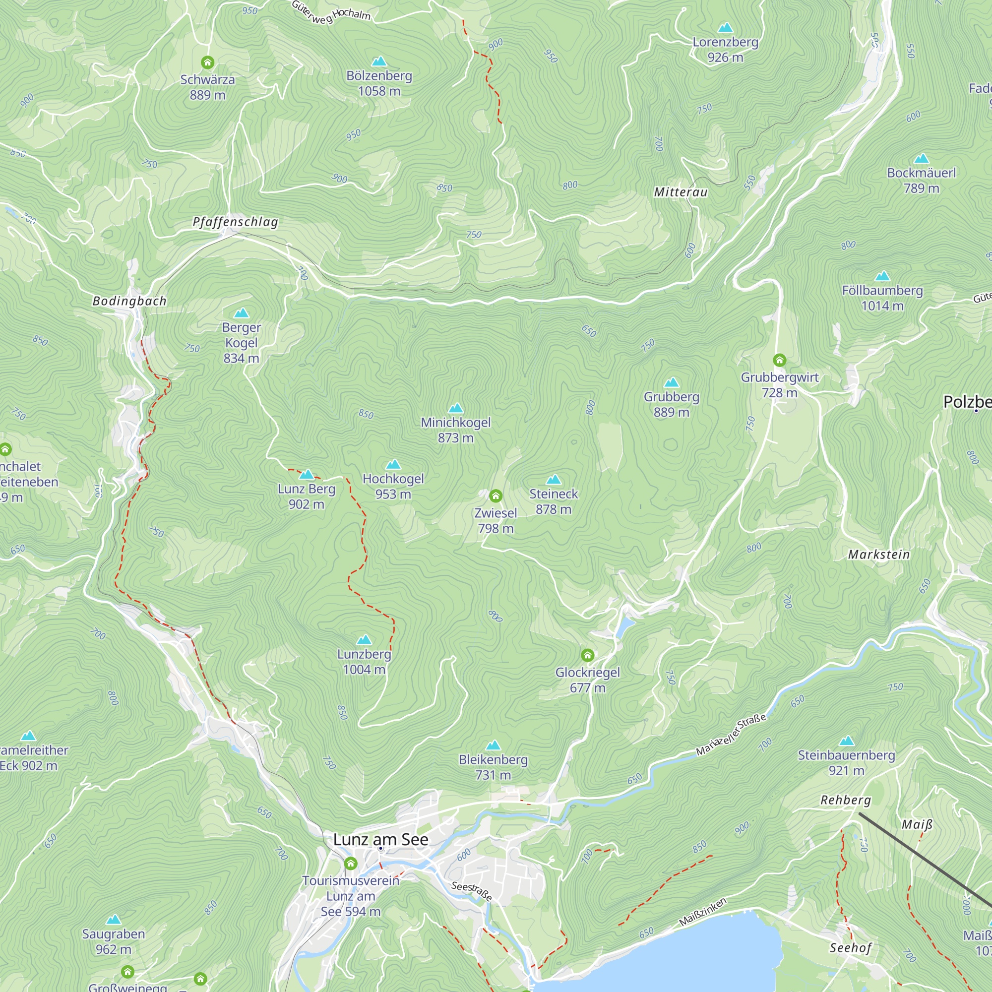 Zwiesel map
