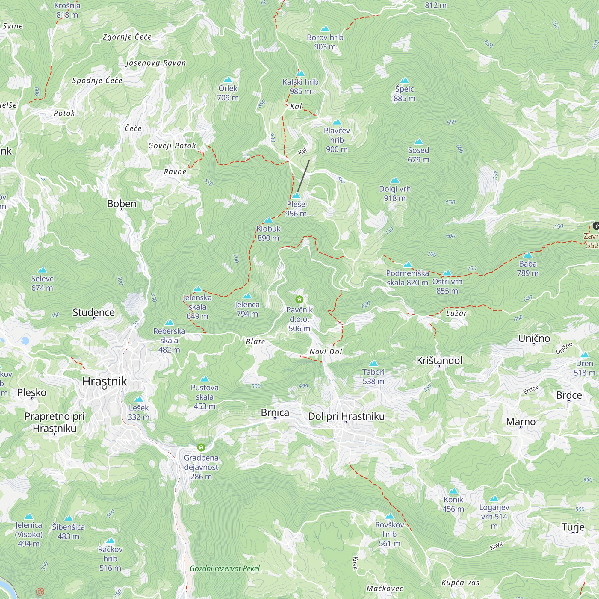 Pavčnik d.o.o. map