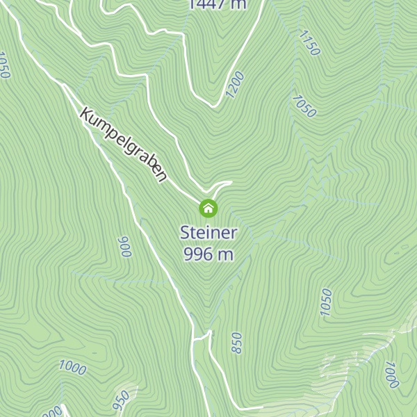 Map of Steiner