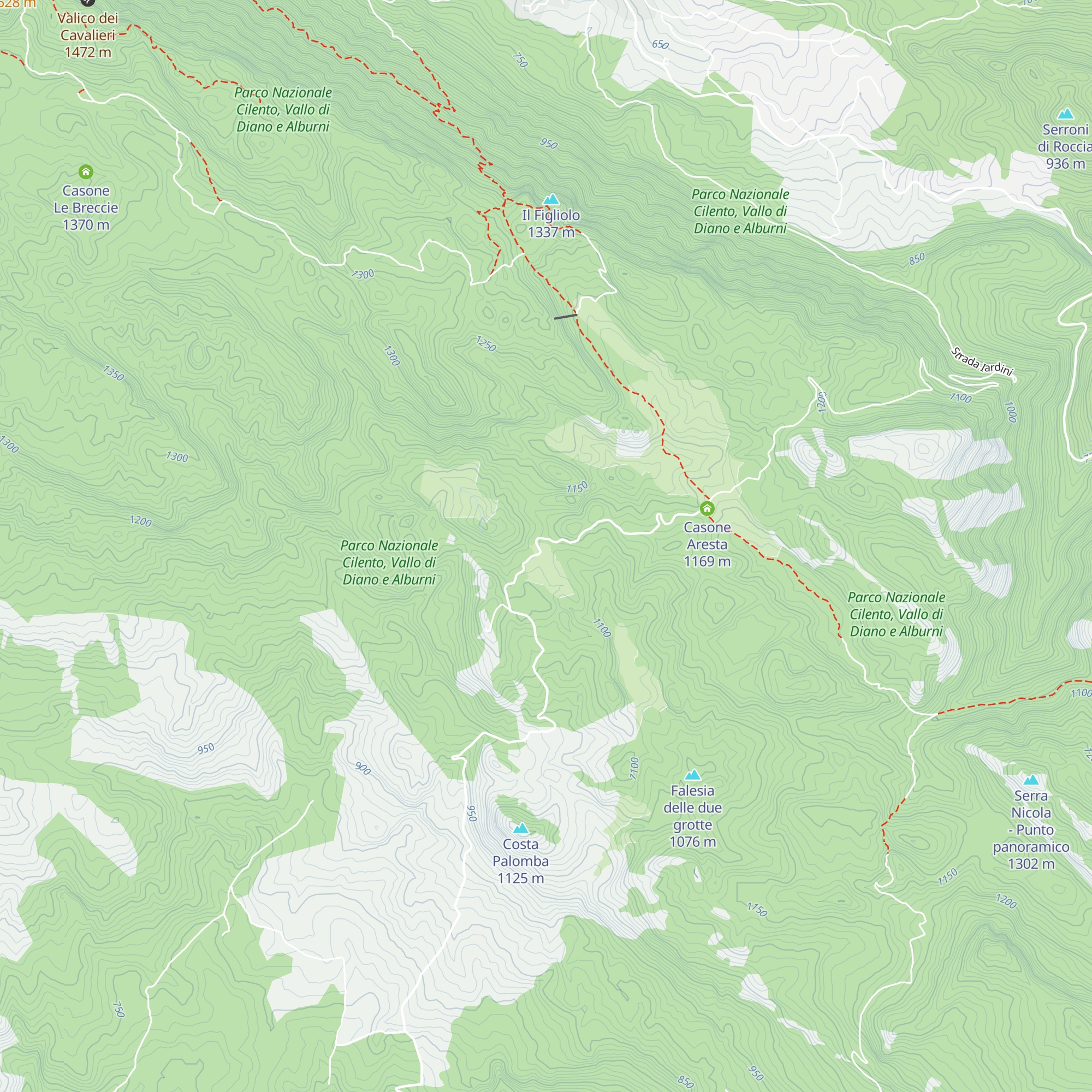 Casone Ausineto map