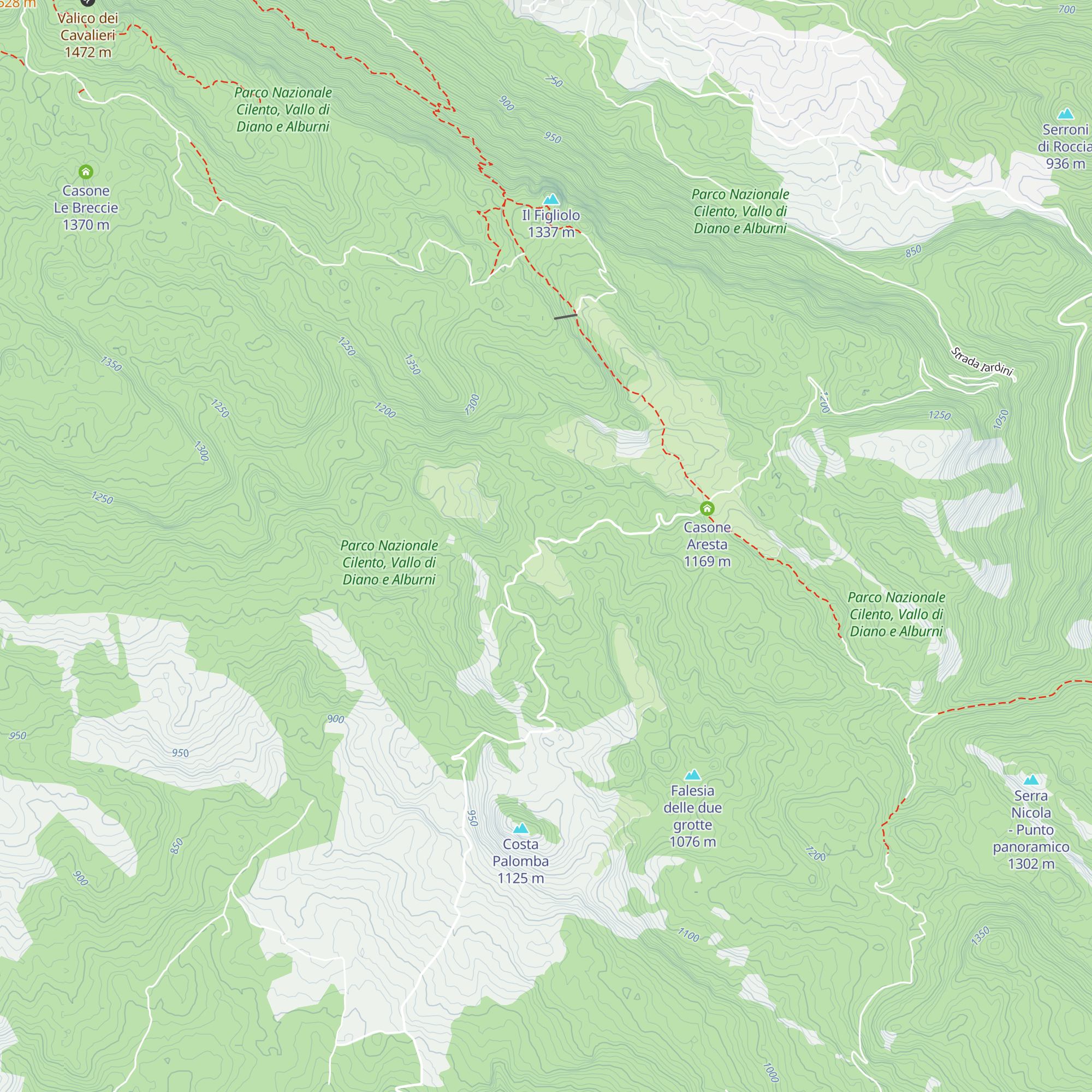 Casone Ausineto map