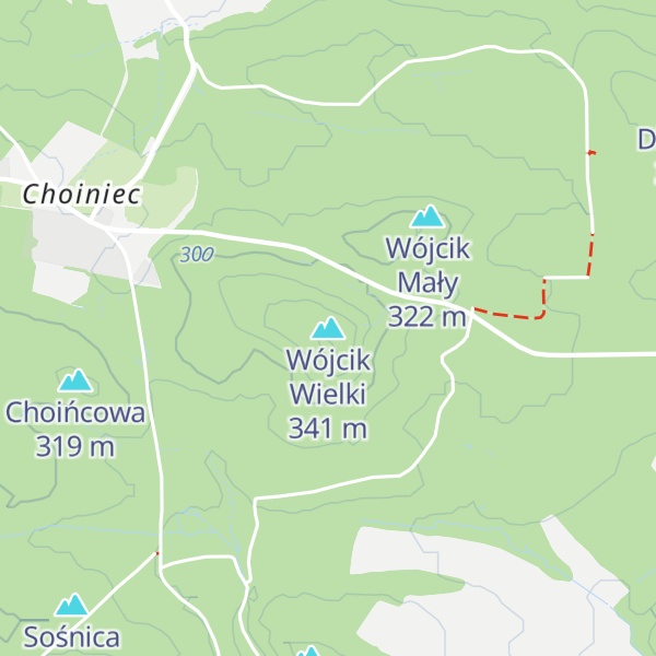 Map of Wójcik Wielki