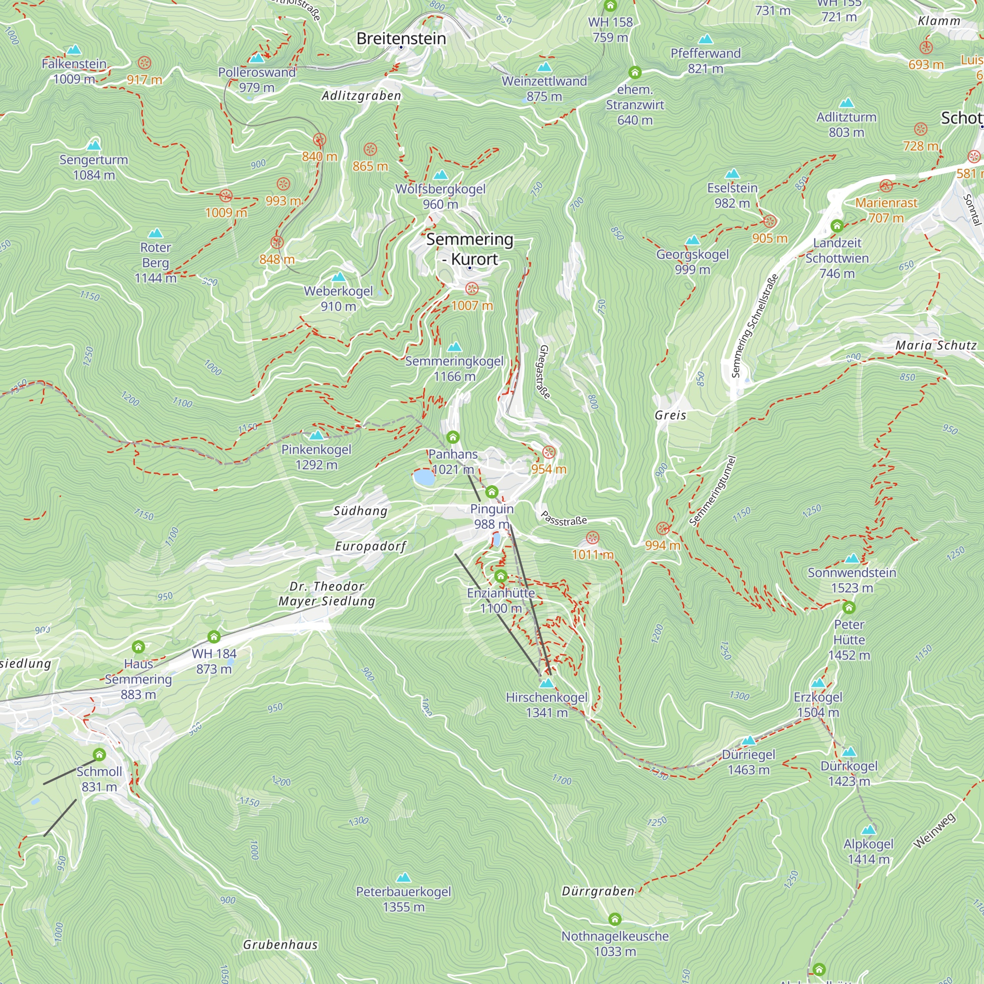 Pinguin map