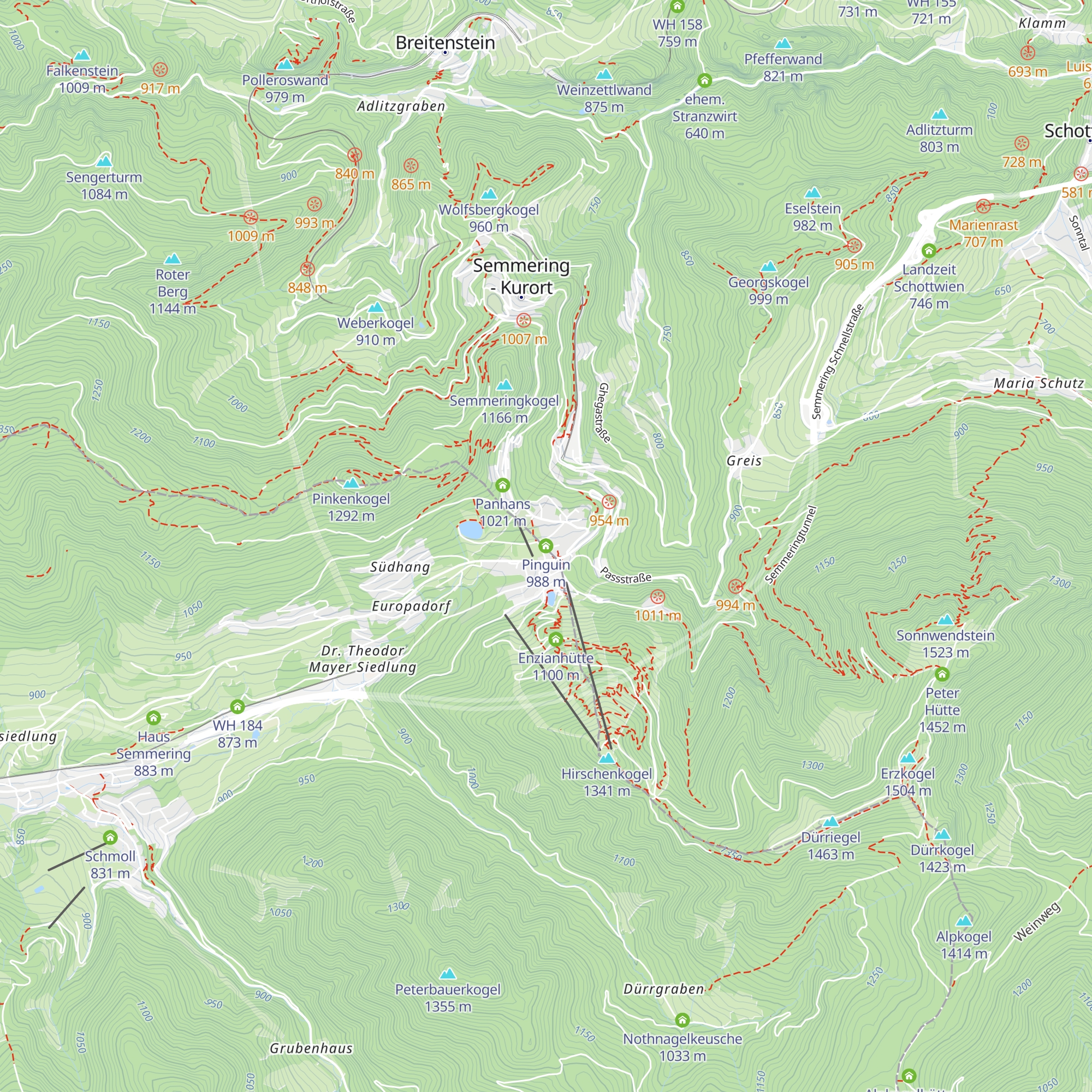 Pinguin map