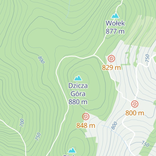 Map of Dzicza Góra