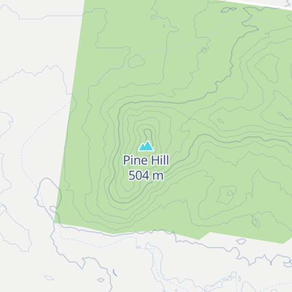 Map of Pine Hill