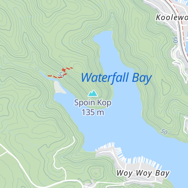 Map of Spion Kop
