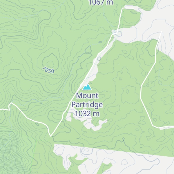 Map of Mount Partridge