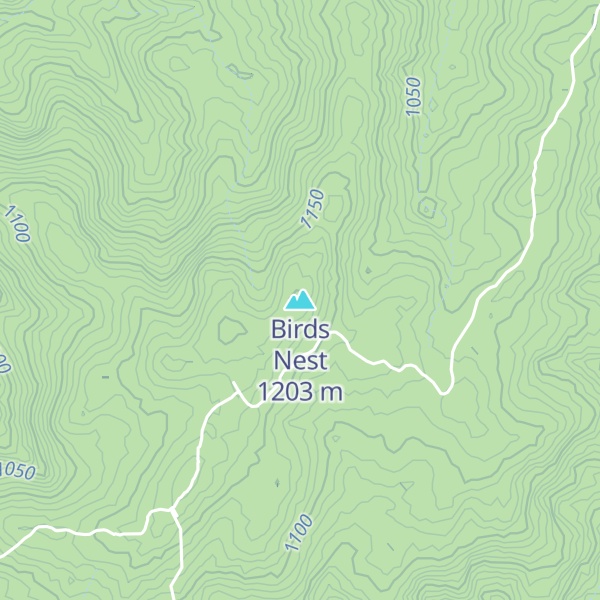 Map of Birds Nest