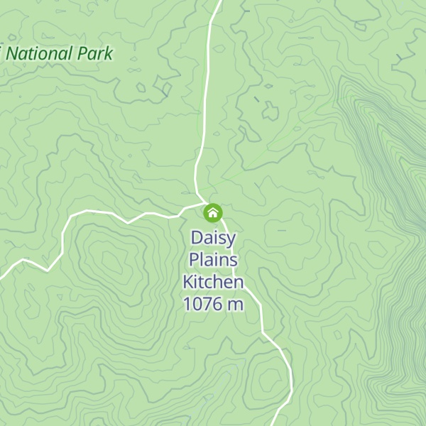 Map of Daisy Plains Kitchen