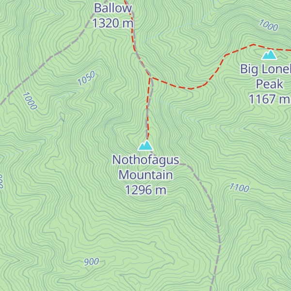 Map of Nothofagus Mountain